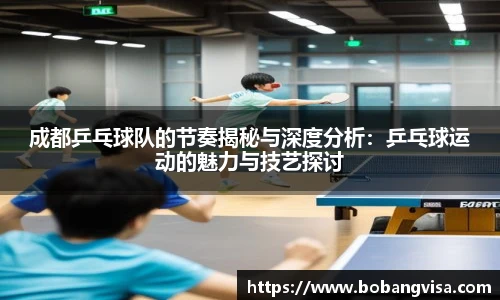 成都乒乓球队的节奏揭秘与深度分析：乒乓球运动的魅力与技艺探讨